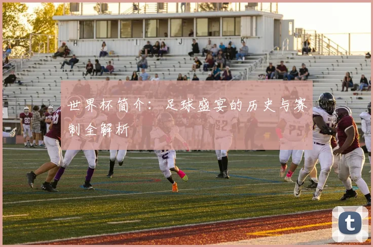 世界杯简介:足球盛宴的历史与赛制全解析