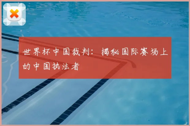 世界杯中国裁判：揭秘国际赛场上的中国执法者